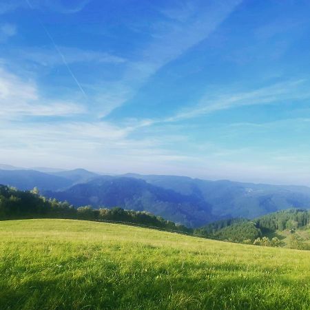 B71 - Appartement Im Herzen Des Schwarzwalds Schramberg Εξωτερικό φωτογραφία